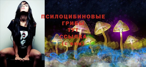 прущая мука Алзамай