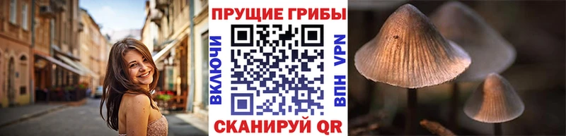 Псилоцибиновые грибы мухоморы магазин Троицк